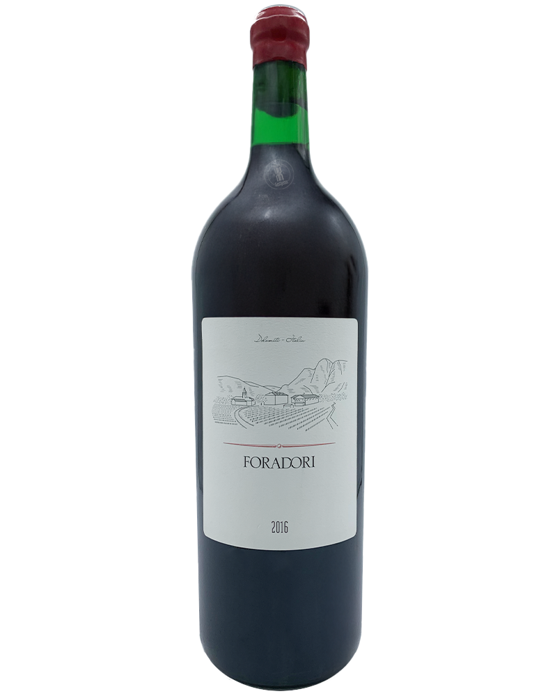 2016 Teroldego Rotaliano / BIO