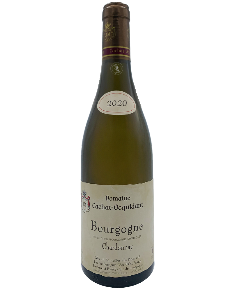 2023 Bourgogne Chardonnay / Cachat-Ocquidant