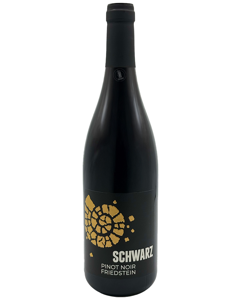 2020 Pinot Noir Friedstein / Martin Schwarz