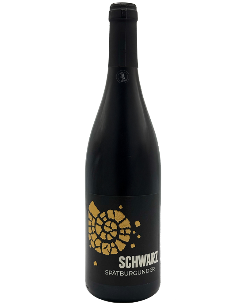 2019 Spätburgunder Barrique / Martin Schwarz