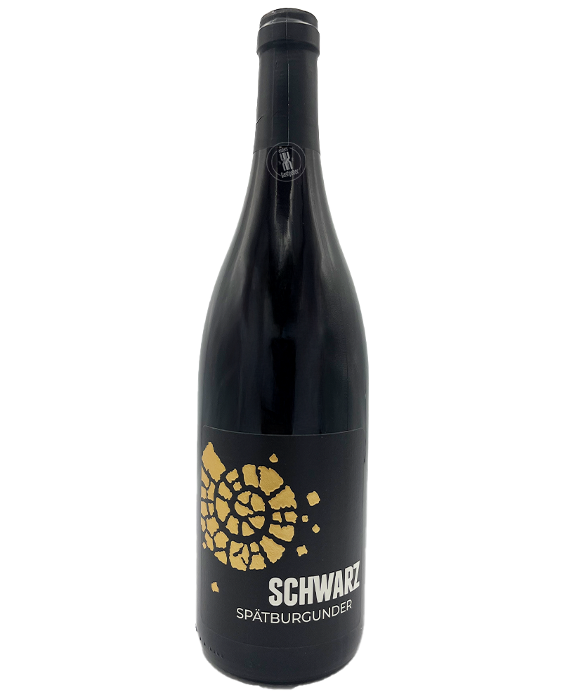 2022 Spätburgunder Barrique / Martin Schwarz